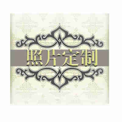 71TX照片人物定 制 diy数字油画手绘涂色消磨时间成人填充油彩装