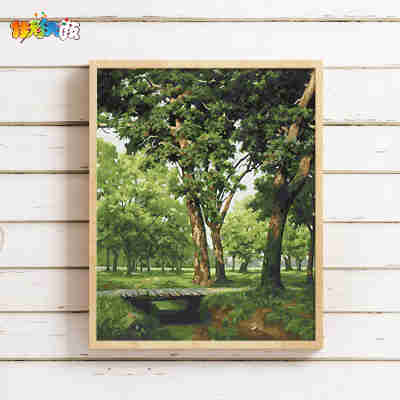 3EW1 画画diy数字油画客厅风景填充色减压难手工绘油彩装