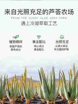 青萃库拉索芦荟爽肤水收缩毛孔非去黄提亮控油男女士湿敷水化妆水